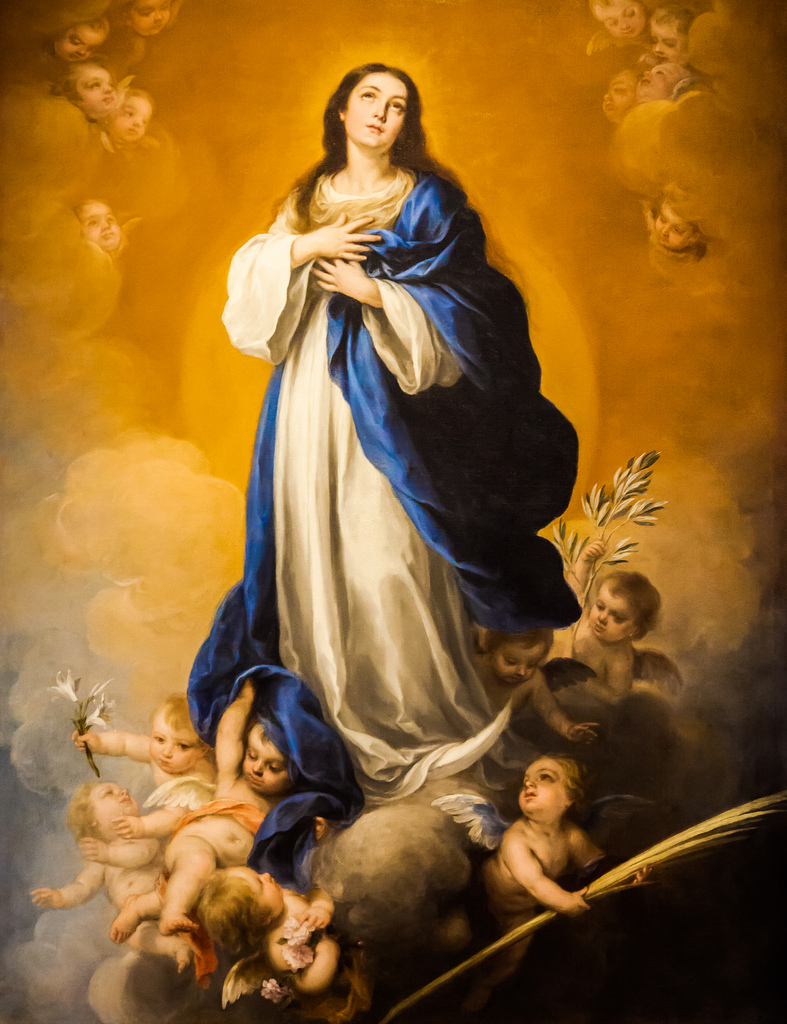 immaculate-conception-of-the-bvm-the-saint-gregory-society